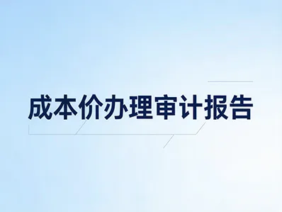 审计报告代办 - 青云标案标书代写服务