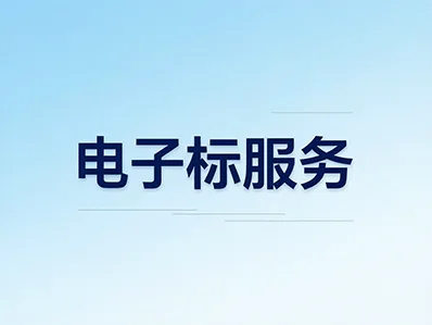 企业电子标书制作与上传服务 - 青云标案标书代写服务